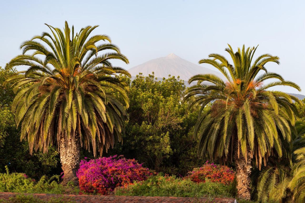 סנטה אורסולה Apartment With Mount Teide And Sea Views מראה חיצוני תמונה
